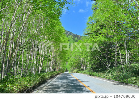 群馬県 片品村 菅沼付近の初夏 新緑の山並み 国道120号線 群馬県 片品村 菅沼付近の初夏 新緑の山並み 国道120号線 104769630