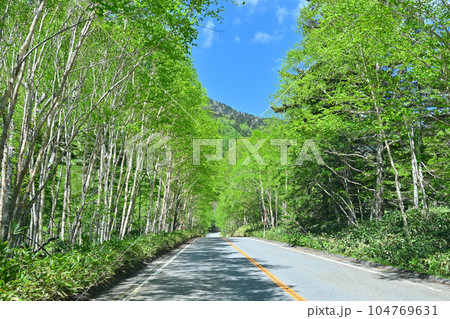 群馬県 片品村 菅沼付近の初夏 新緑の山並み 国道120号線 群馬県 片品村 菅沼付近の初夏 新緑の山並み 国道120号線 104769631