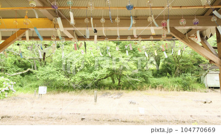 房総半島の小湊鉄道の月崎駅（ふゆ） 104770669