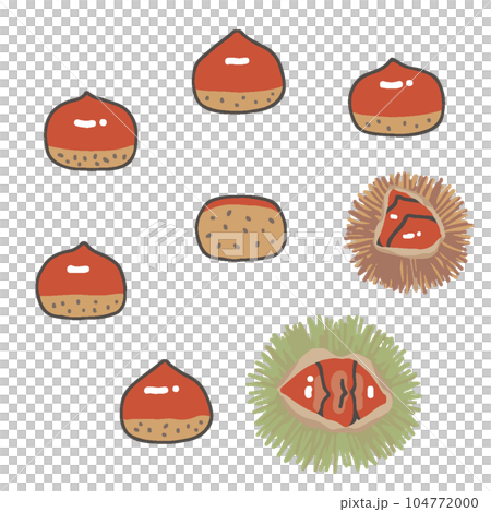 Various chestnut illustrations 104772000