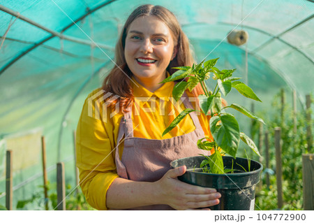 Happy female gardener offer plants and flowers to the clients in the greenhouse Happy female gardener offer plants and flowers to the clients in the greenhouse 104772900