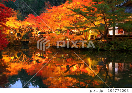 秋の宝生寺(ライトアップ・豊後大野市) 秋の宝生寺(ライトアップ・豊後大野市) 104773008