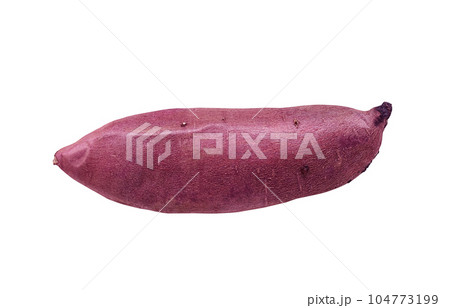 焼き芋のイラスト リアル 104773199