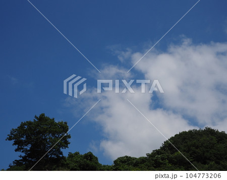 夏の空とわた雲 104773206