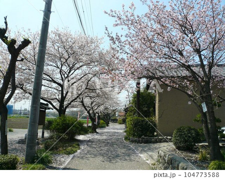 正福寺 (埼玉県深谷市) 正福寺 (埼玉県深谷市) 104773588