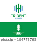 Simple Modern Trident Hexagonal in Green Blue Logo 104773763