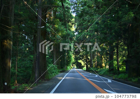 日光街道 日光杉並木 国道119号線 走行中撮影 栃木県日光市 日光街道 日光杉並木 国道119号線 走行中撮影 栃木県日光市 104773798
