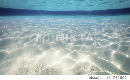 透明度の高い海中、光紋がキラキラ輝く水中 透明度の高い海中、光紋がキラキラ輝く水中 104773866
