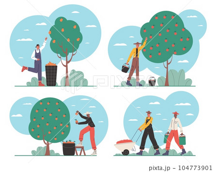 Cartoon people on harvesting. Happy farmers characters. Agricultural workers collect fruits and vegetables. Ranch works with baskets and buckets collecting crop. Vector gardeners set Cartoon people on harvesting. Happy farmers characters. Agricultural workers collect fruits and vegetables. Ranch works with baskets and buckets collecting crop. Vector gardeners set 104773901