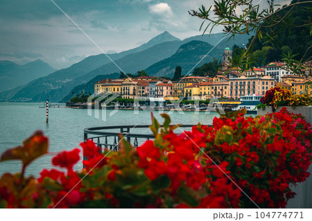 Stunning flowery waterfront of lake Como near Bellagio, Lombardy, Italy 104774771