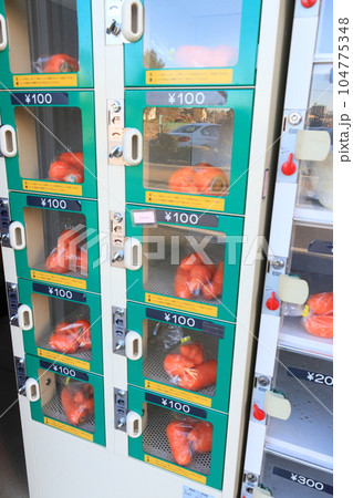 農家の野菜直売ロッカー 採れたて新鮮野菜 産地直売 農家の野菜直売ロッカー 採れたて新鮮野菜 産地直売 104775348