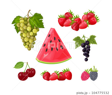Berries. A large set with summer berries, such as watermelon, grapes, cherries and also currants, raspberries and strawberries. Summer vitamin products. Fruit set. Vector illustration Berries. A large set with summer berries, such as watermelon, grapes, cherries and also currants, raspberries and strawberries. Summer vitamin products. Fruit set. Vector illustration 104775532