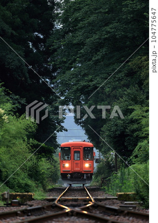 樽見鉄道 緑のトンネルを走る首都圏色ハイモ295-315 樽見鉄道 緑のトンネルを走る首都圏色ハイモ295-315 104775647