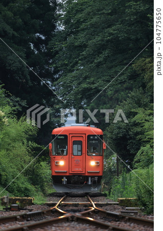 樽見鉄道 緑のトンネルを走る首都圏色ハイモ295-315 樽見鉄道 緑のトンネルを走る首都圏色ハイモ295-315 104775650