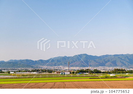 初夏の夕方 山形村から松本市街地方面の風景 初夏の夕方 山形村から松本市街地方面の風景 104775652