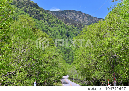 群馬県 片品村 菅沼付近の初夏 新緑の山並み 国道120号線 群馬県 片品村 菅沼付近の初夏 新緑の山並み 国道120号線 104775667