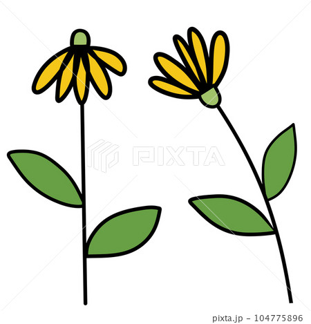 Drawing of flower isolated on transparent background for usage as an illustration, nature decoration and springtime concept 104775896