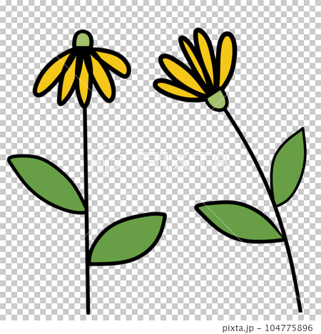 Drawing of flower isolated on transparent background for usage as an illustration, nature decoration and springtime concept 104775896
