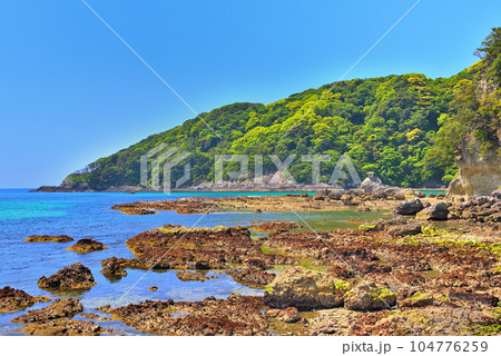 伊豆半島・南伊豆・海の上の日本庭園を思わせる眺めを楽しめる、和歌の浦遊歩道・静岡県下田市(3) 104776259