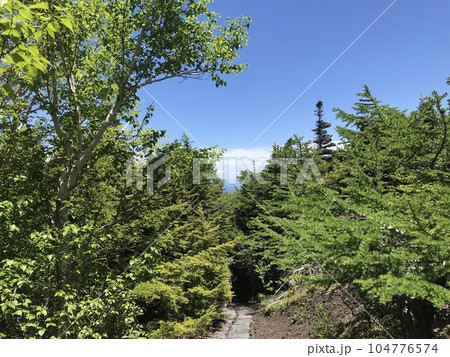 御中道富士山 104776574