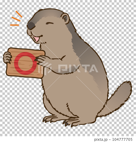 丸マークを描いた看板を持つマーモット 104777705