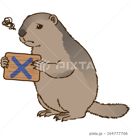 バツマークを描いた看板を持つマーモット 104777706