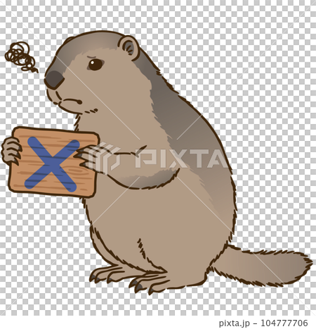 バツマークを描いた看板を持つマーモット 104777706