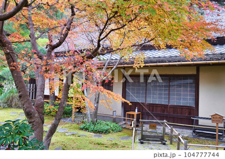 鎌倉 紅葉が美しい一条恵観山荘 鎌倉 紅葉が美しい一条恵観山荘 104777744