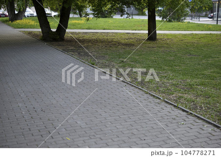 Trees and a path in a summer city park. Beautiful greenery and a summer park. 104778271