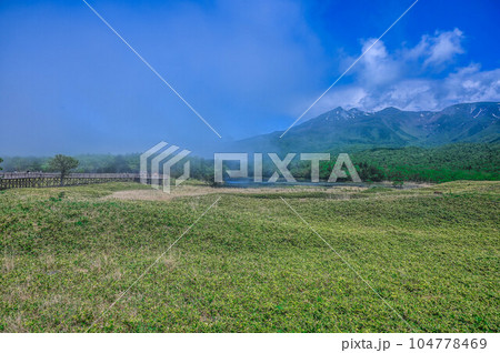 世界遺産 知床半島の知床五湖、霧に煙る知床連山 ヒグマの生息地と遊歩道、エゾシカ 世界遺産 知床半島の知床五湖、霧に煙る知床連山 ヒグマの生息地と遊歩道、エゾシカ 104778469
