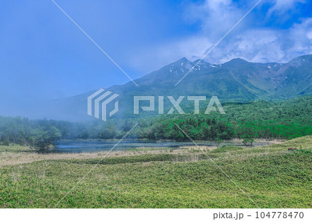 世界遺産 知床半島の知床五湖、霧に煙る知床連山 ヒグマの生息地と遊歩道、エゾシカ 世界遺産 知床半島の知床五湖、霧に煙る知床連山 ヒグマの生息地と遊歩道、エゾシカ 104778470