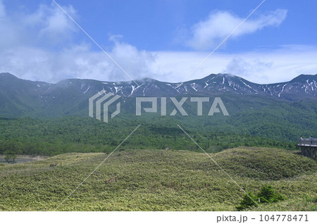 世界遺産　知床半島の知床五湖、霧に煙る知床連山　ヒグマの生息地と遊歩道、エゾシカ 104778471