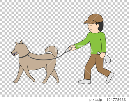 一個男人遛柴犬的插圖 一個男人遛柴犬的插圖 104778488