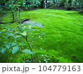苔の生えた庭 104779163