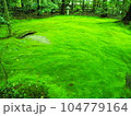 苔の生えた庭 104779164