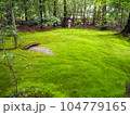 苔の生えた庭 104779165