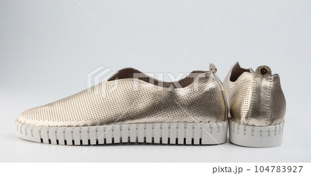 Footwear leather shoes theme 104783927