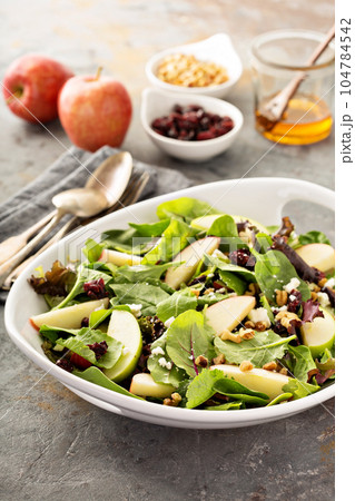 Fall salad with spring mix, apple and cranberry 104784542