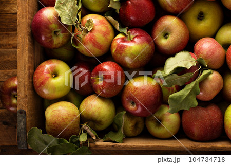 Apple harvest in a wooden crate Apple harvest in a wooden crate 104784718