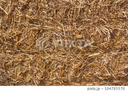Hay in a bale, background or texture 104785570