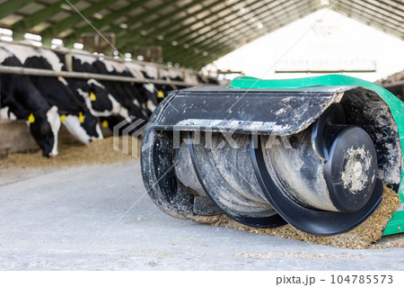 Automatic feed dispenser for cows, modern agricultural cow farm, food and animal concept 104785573