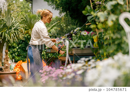 Woman professional gardener in apron take care of houseplants in floral store yard 104785671