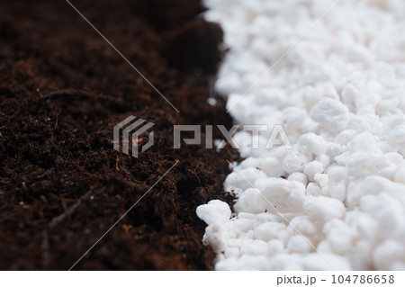 soil and Perlite for plants. neutral material of volcanic origin soil and Perlite for plants. neutral material of volcanic origin 104786658