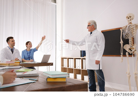 Medical students and professor studying human skeleton anatomy in classroom Medical students and professor studying human skeleton anatomy in classroom 104786690