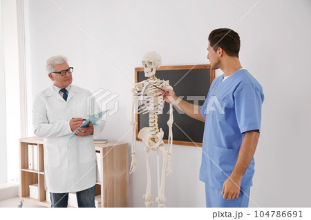Medical student and professor studying human skeleton anatomy in classroom 104786691
