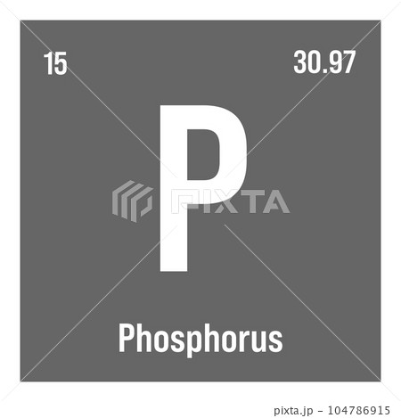 Phosphorus, P, periodic table element with name, symbol, atomic number and weight. Non-metal with various industrial uses, such as in fertilizer, detergents, and as a component of certain types of Phosphorus, P, periodic table element with name, symbol, atomic number and weight. Non-metal with various industrial uses, such as in fertilizer, detergents, and as a component of certain types of 104786915