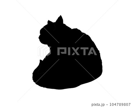 後ろ向きで座る猫のシルエットイラスト 後ろ向きで座る猫のシルエットイラスト 104789807