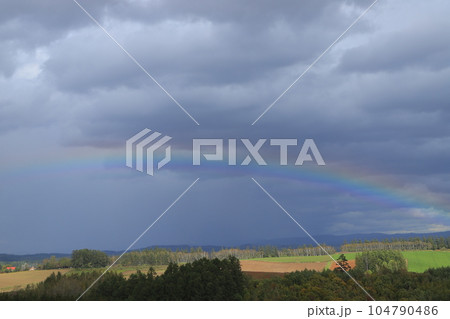 雨上がりの北海道美瑛の丘の風景 雨上がりの北海道美瑛の丘の風景 104790486