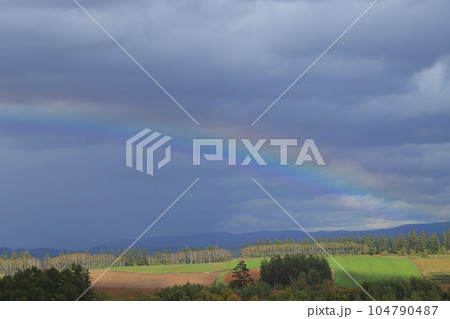 雨上がりの北海道美瑛の丘の風景 雨上がりの北海道美瑛の丘の風景 104790487