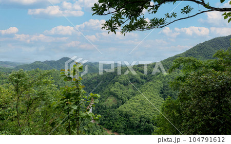 mountain landscape with forest and mountains mountain landscape with forest and mountains 104791612